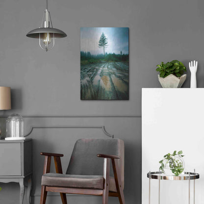 Luxe Metal Art 'Lonefir' by Thomas Haney, Metal Wall Art,16x24