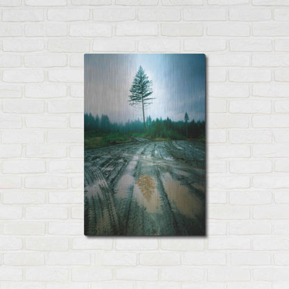 Luxe Metal Art 'Lonefir' by Thomas Haney, Metal Wall Art,24x36