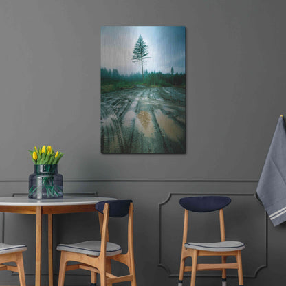 Luxe Metal Art 'Lonefir' by Thomas Haney, Metal Wall Art,24x36