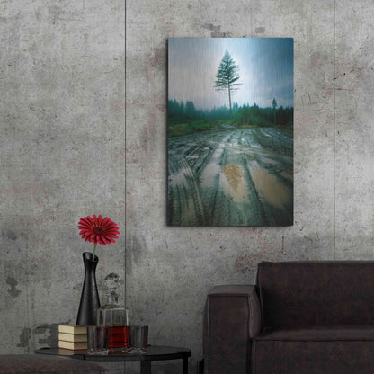 Luxe Metal Art 'Lonefir' by Thomas Haney, Metal Wall Art,24x36