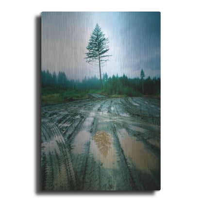 Luxe Metal Art 'Lonefir' by Thomas Haney, Metal Wall Art