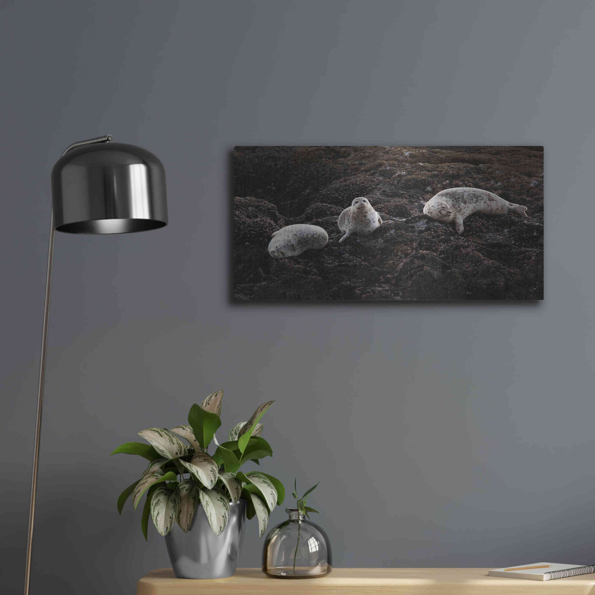 Luxe Metal Art 'Lounging Seals' by Thomas Haney, Metal Wall Art,24x12