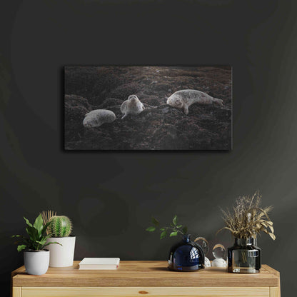 Luxe Metal Art 'Lounging Seals' by Thomas Haney, Metal Wall Art,24x12