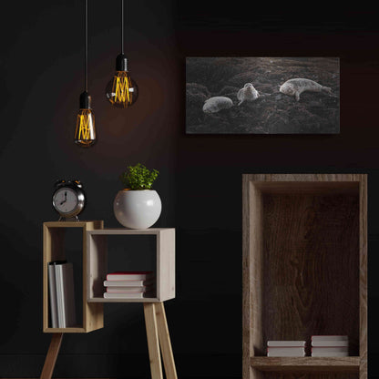 Luxe Metal Art 'Lounging Seals' by Thomas Haney, Metal Wall Art,24x12