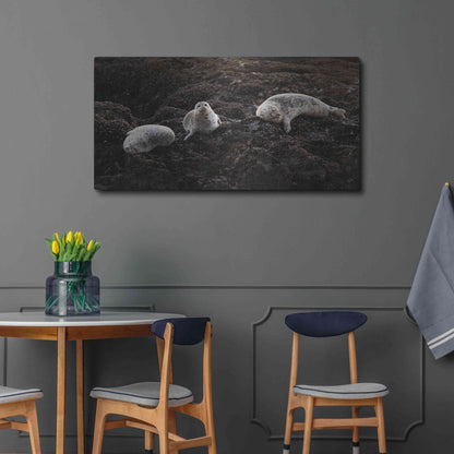 Luxe Metal Art 'Lounging Seals' by Thomas Haney, Metal Wall Art,48x24