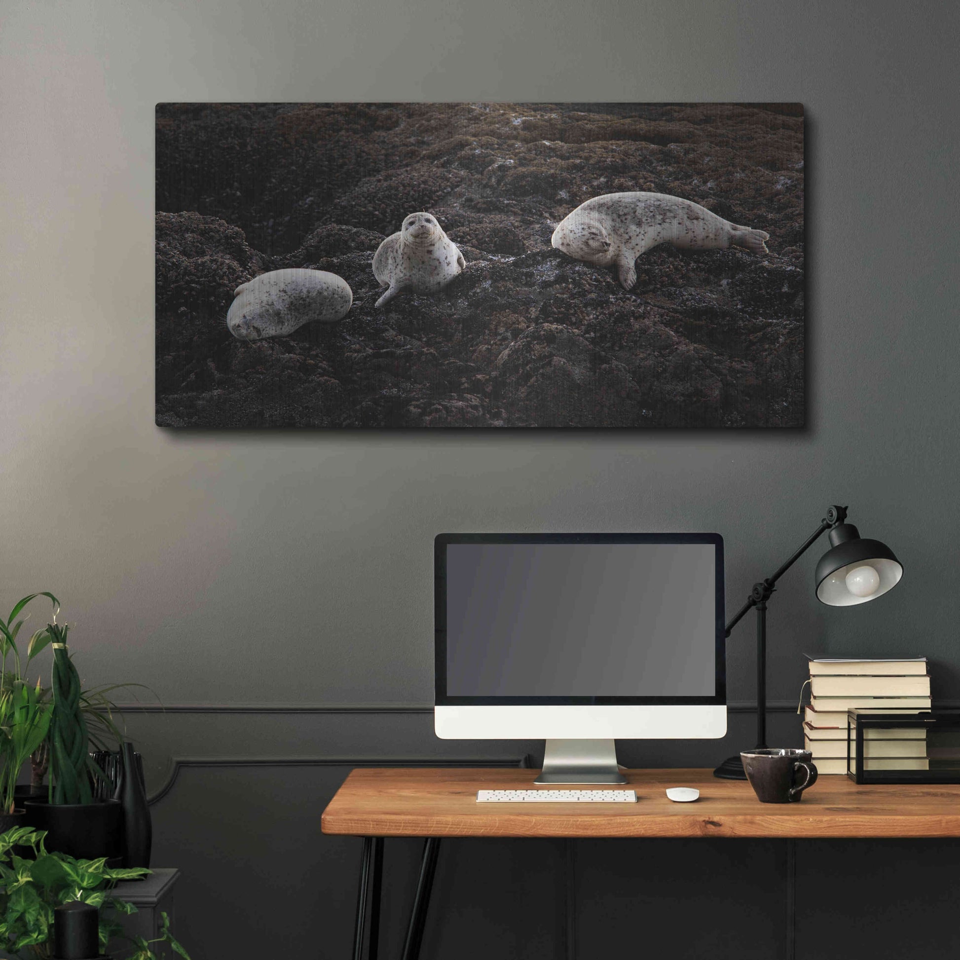 Luxe Metal Art 'Lounging Seals' by Thomas Haney, Metal Wall Art,48x24