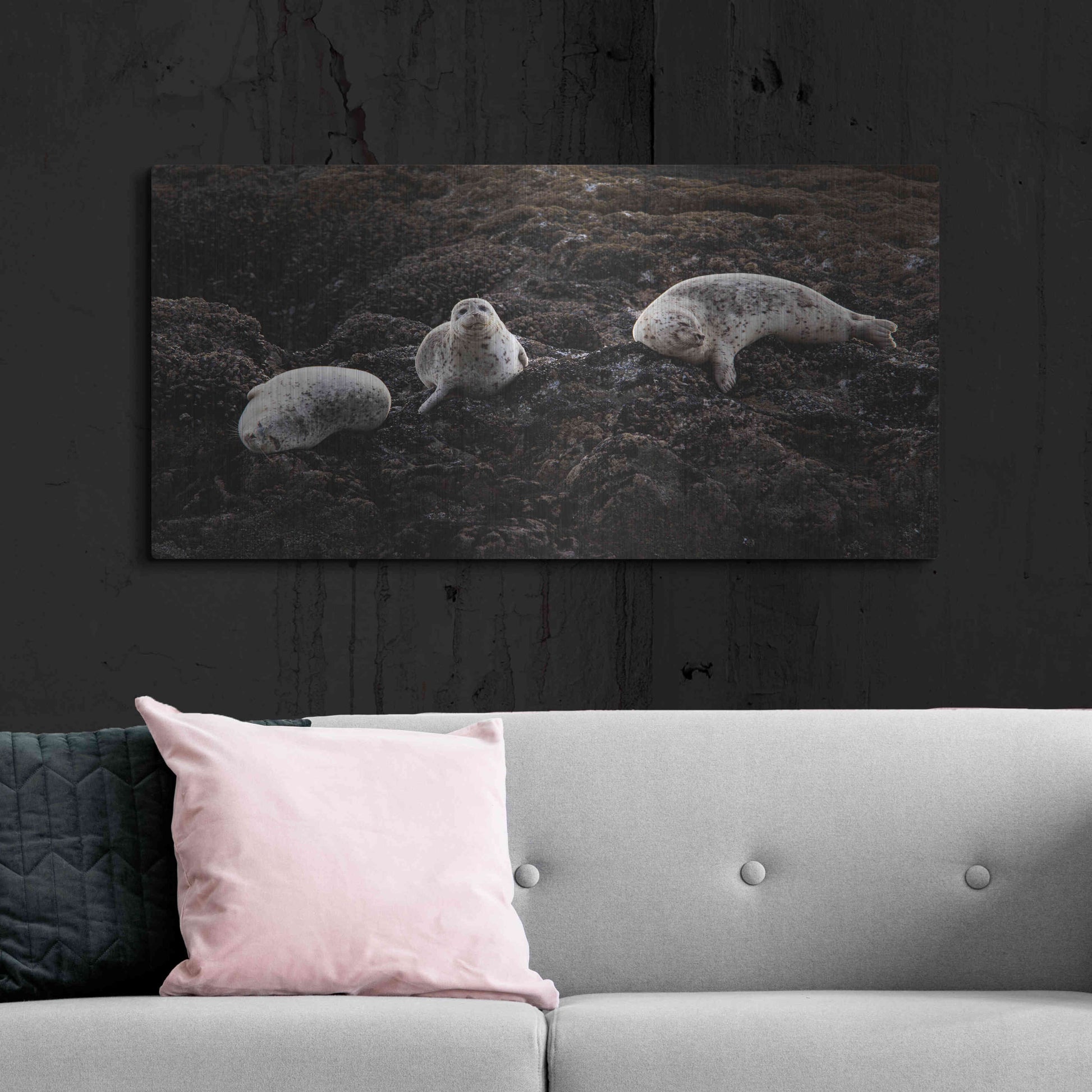 Luxe Metal Art 'Lounging Seals' by Thomas Haney, Metal Wall Art,48x24