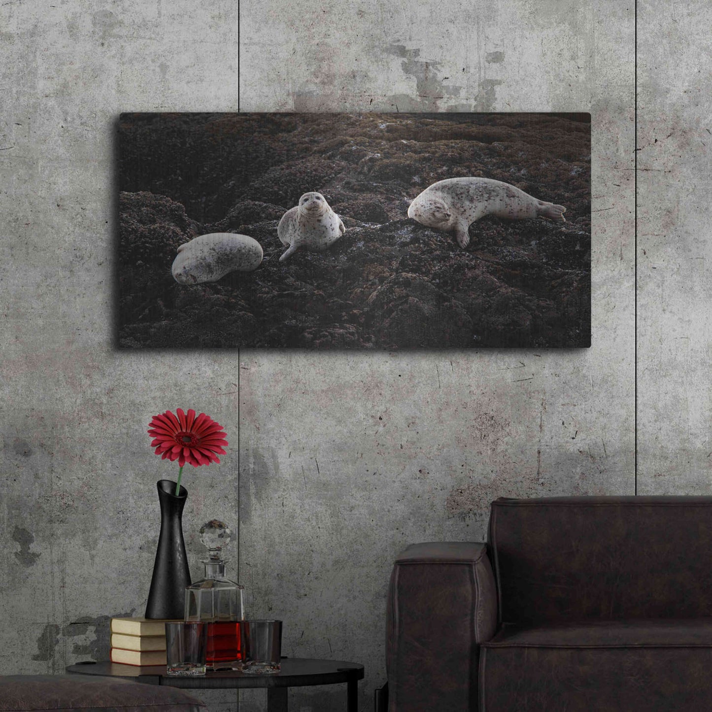 Luxe Metal Art 'Lounging Seals' by Thomas Haney, Metal Wall Art,48x24