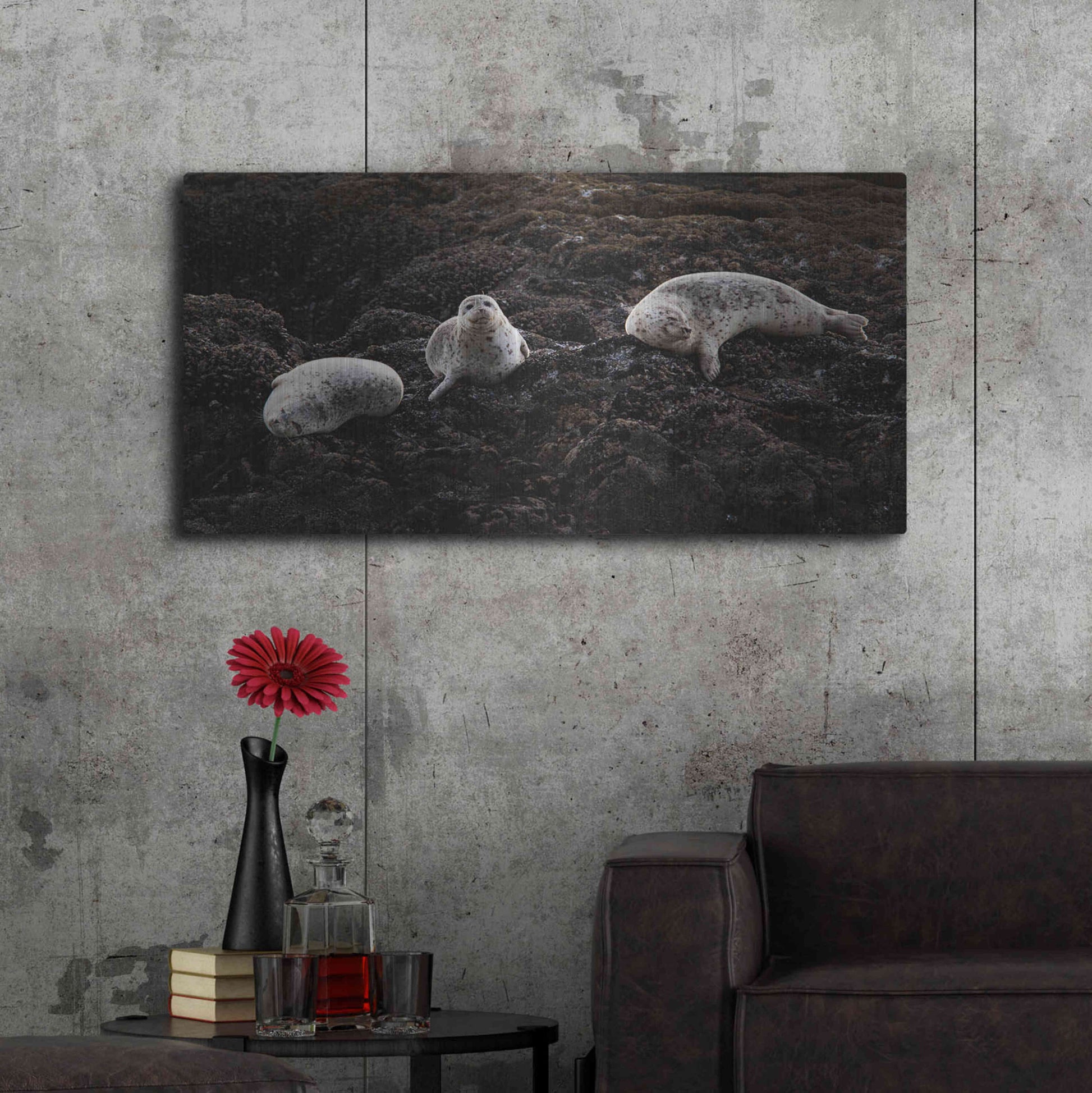 Luxe Metal Art 'Lounging Seals' by Thomas Haney, Metal Wall Art,48x24