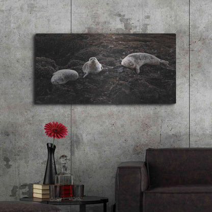 Luxe Metal Art 'Lounging Seals' by Thomas Haney, Metal Wall Art,48x24