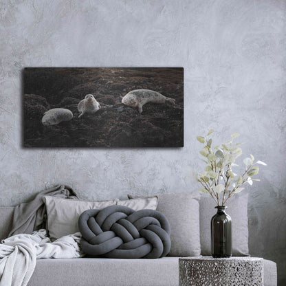 Luxe Metal Art 'Lounging Seals' by Thomas Haney, Metal Wall Art,48x24