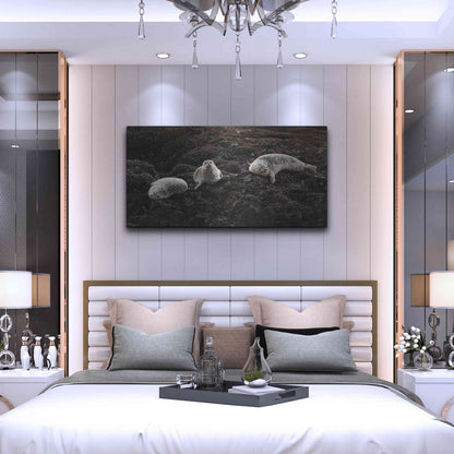 Luxe Metal Art 'Lounging Seals' by Thomas Haney, Metal Wall Art,48x24