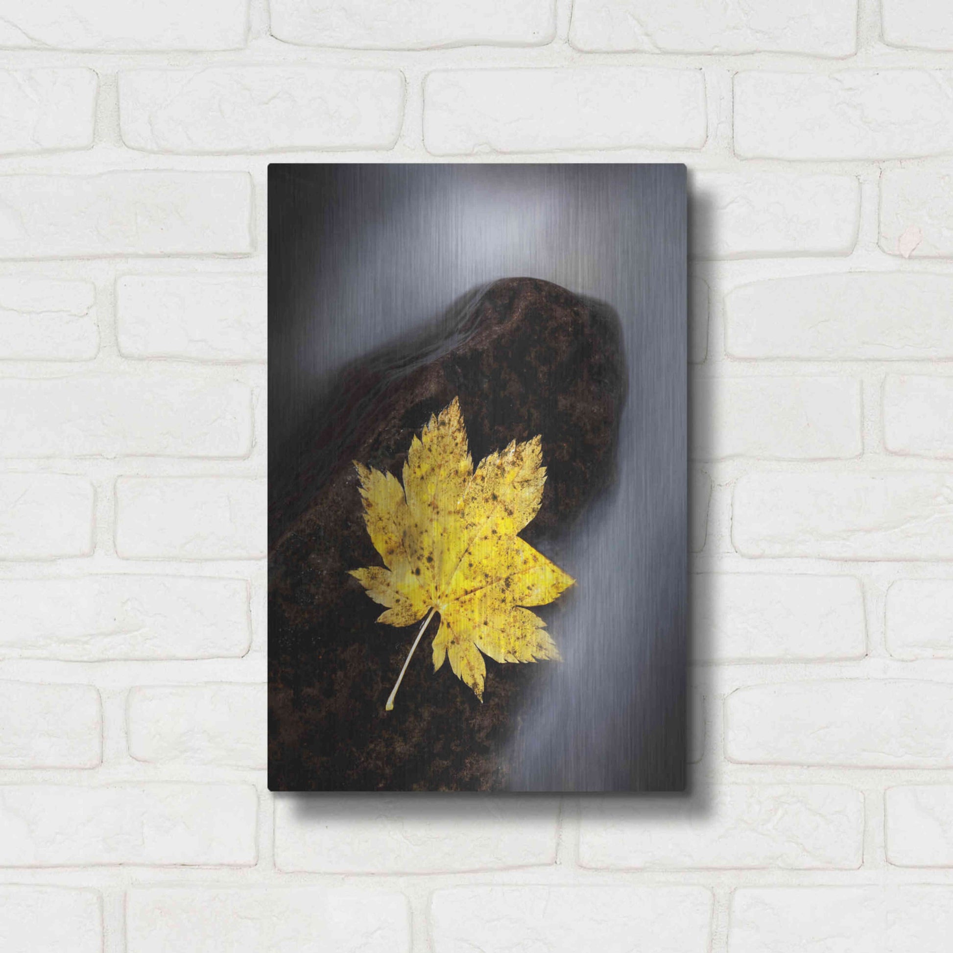 Luxe Metal Art 'Maple Leaf Stranded' by Thomas Haney, Metal Wall Art,12x16