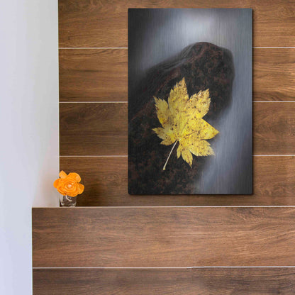 Luxe Metal Art 'Maple Leaf Stranded' by Thomas Haney, Metal Wall Art,12x16