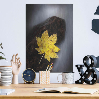 Luxe Metal Art 'Maple Leaf Stranded' by Thomas Haney, Metal Wall Art,12x16