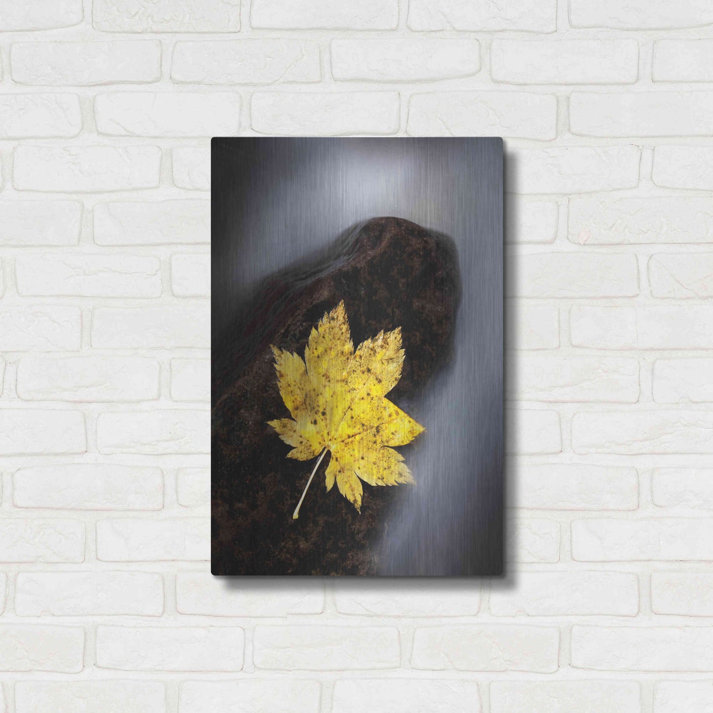 Luxe Metal Art 'Maple Leaf Stranded' by Thomas Haney, Metal Wall Art,16x24