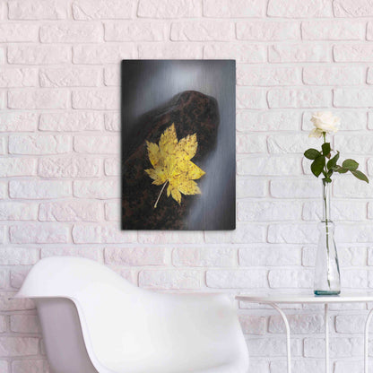 Luxe Metal Art 'Maple Leaf Stranded' by Thomas Haney, Metal Wall Art,16x24