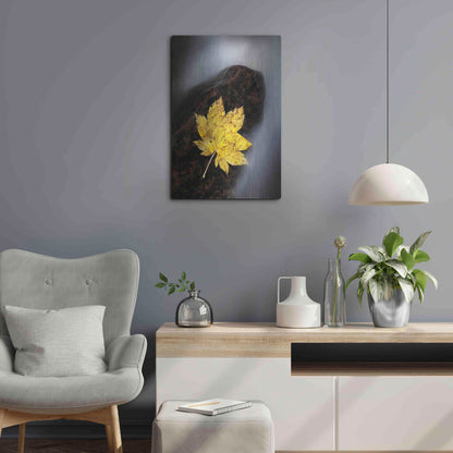 Luxe Metal Art 'Maple Leaf Stranded' by Thomas Haney, Metal Wall Art,16x24