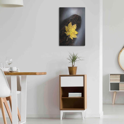 Luxe Metal Art 'Maple Leaf Stranded' by Thomas Haney, Metal Wall Art,16x24