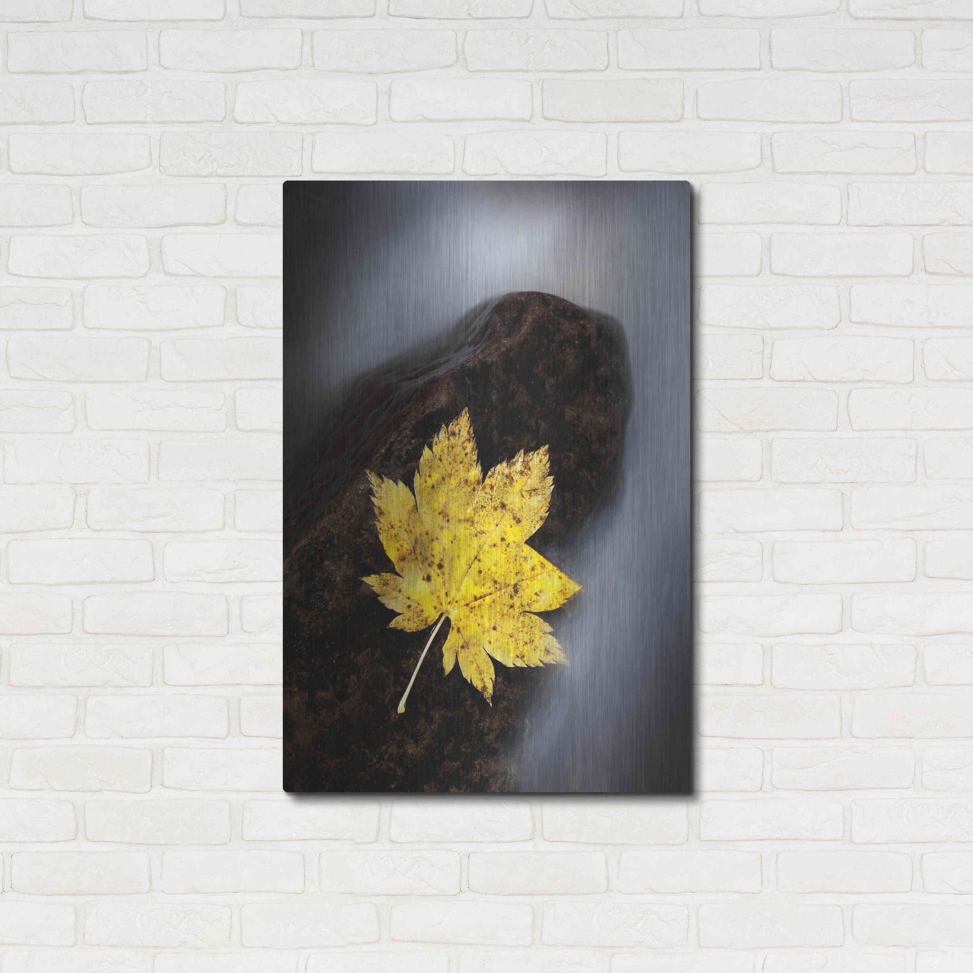 Luxe Metal Art 'Maple Leaf Stranded' by Thomas Haney, Metal Wall Art,24x36