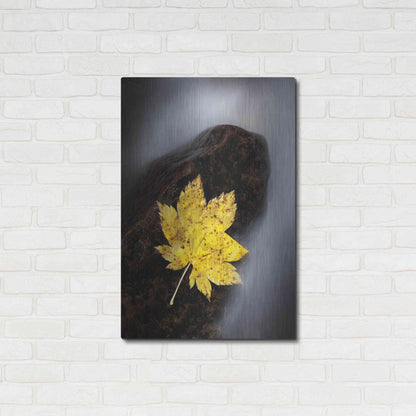 Luxe Metal Art 'Maple Leaf Stranded' by Thomas Haney, Metal Wall Art,24x36