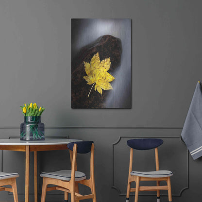 Luxe Metal Art 'Maple Leaf Stranded' by Thomas Haney, Metal Wall Art,24x36