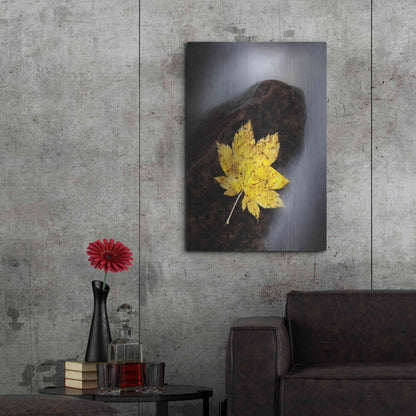 Luxe Metal Art 'Maple Leaf Stranded' by Thomas Haney, Metal Wall Art,24x36