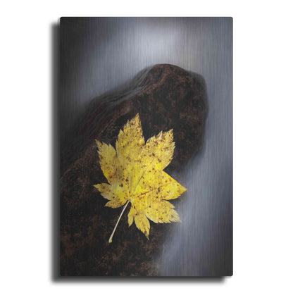Luxe Metal Art 'Maple Leaf Stranded' by Thomas Haney, Metal Wall Art