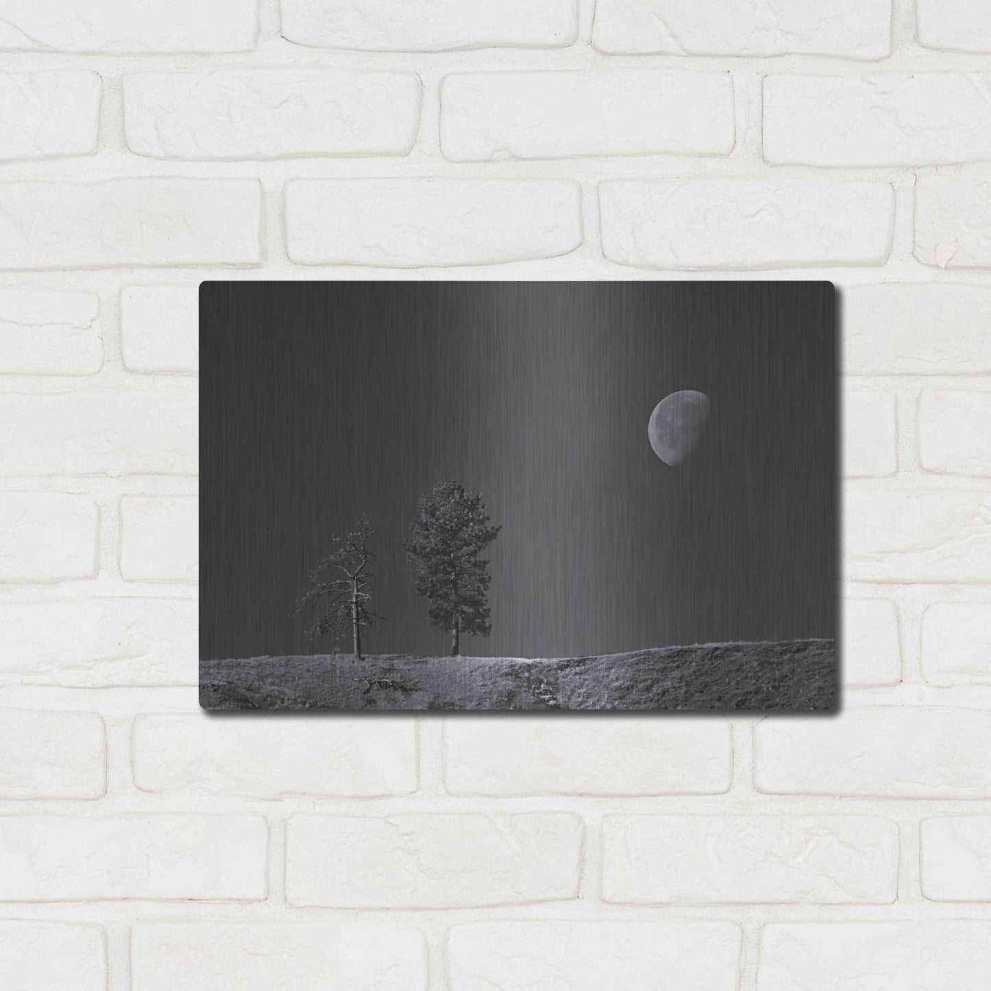 Luxe Metal Art 'Moon Trees Hill' by Thomas Haney, Metal Wall Art,16x12