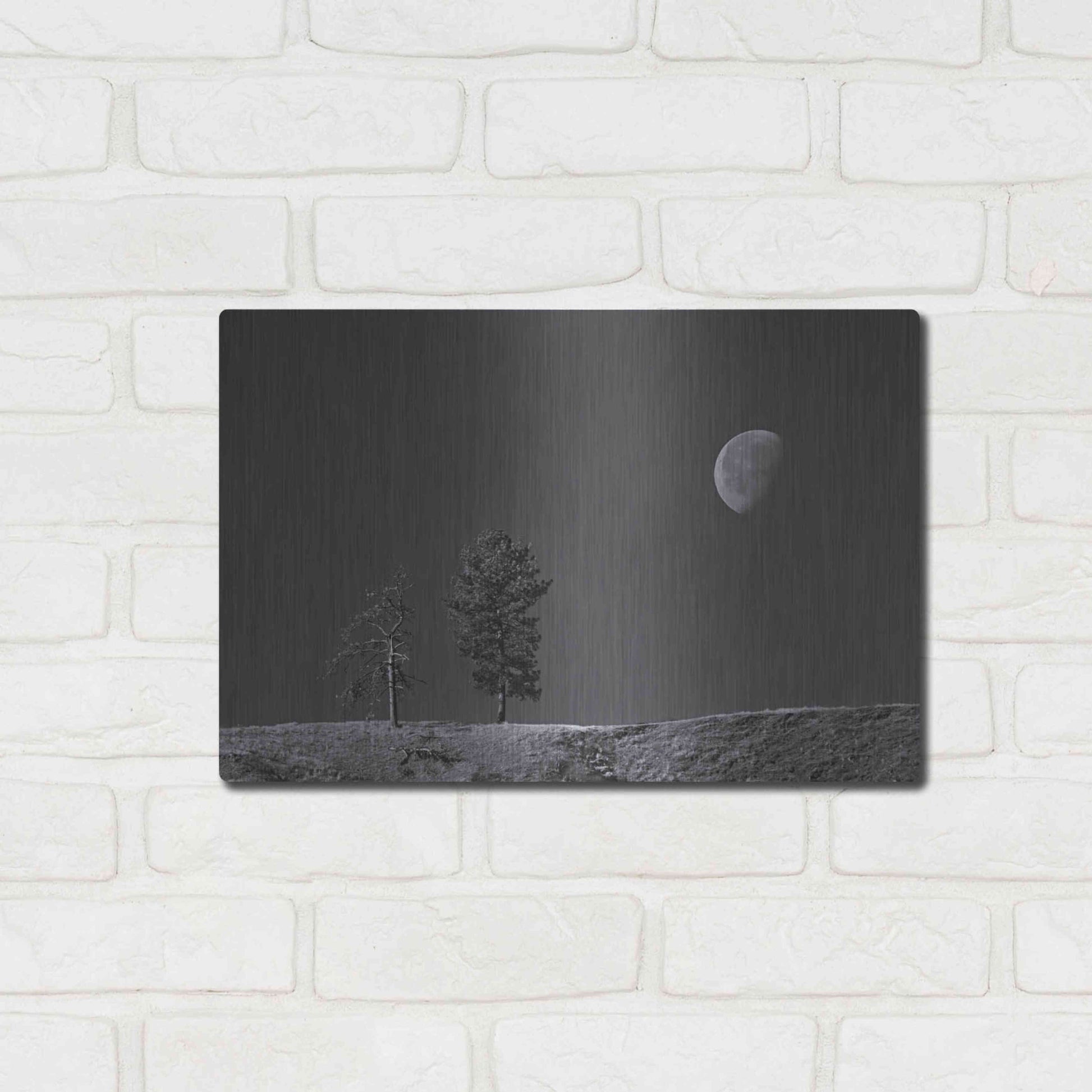 Luxe Metal Art 'Moon Trees Hill' by Thomas Haney, Metal Wall Art,16x12