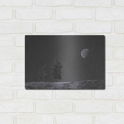 Luxe Metal Art 'Moon Trees Hill' by Thomas Haney, Metal Wall Art,16x12
