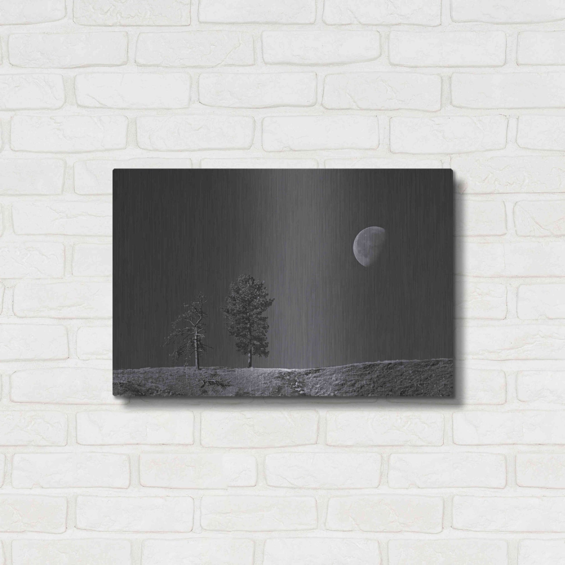 Luxe Metal Art 'Moon Trees Hill' by Thomas Haney, Metal Wall Art,24x16