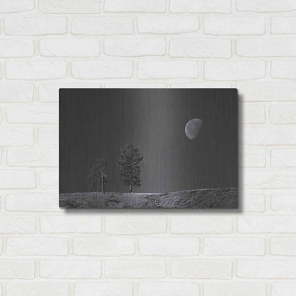 Luxe Metal Art 'Moon Trees Hill' by Thomas Haney, Metal Wall Art,24x16