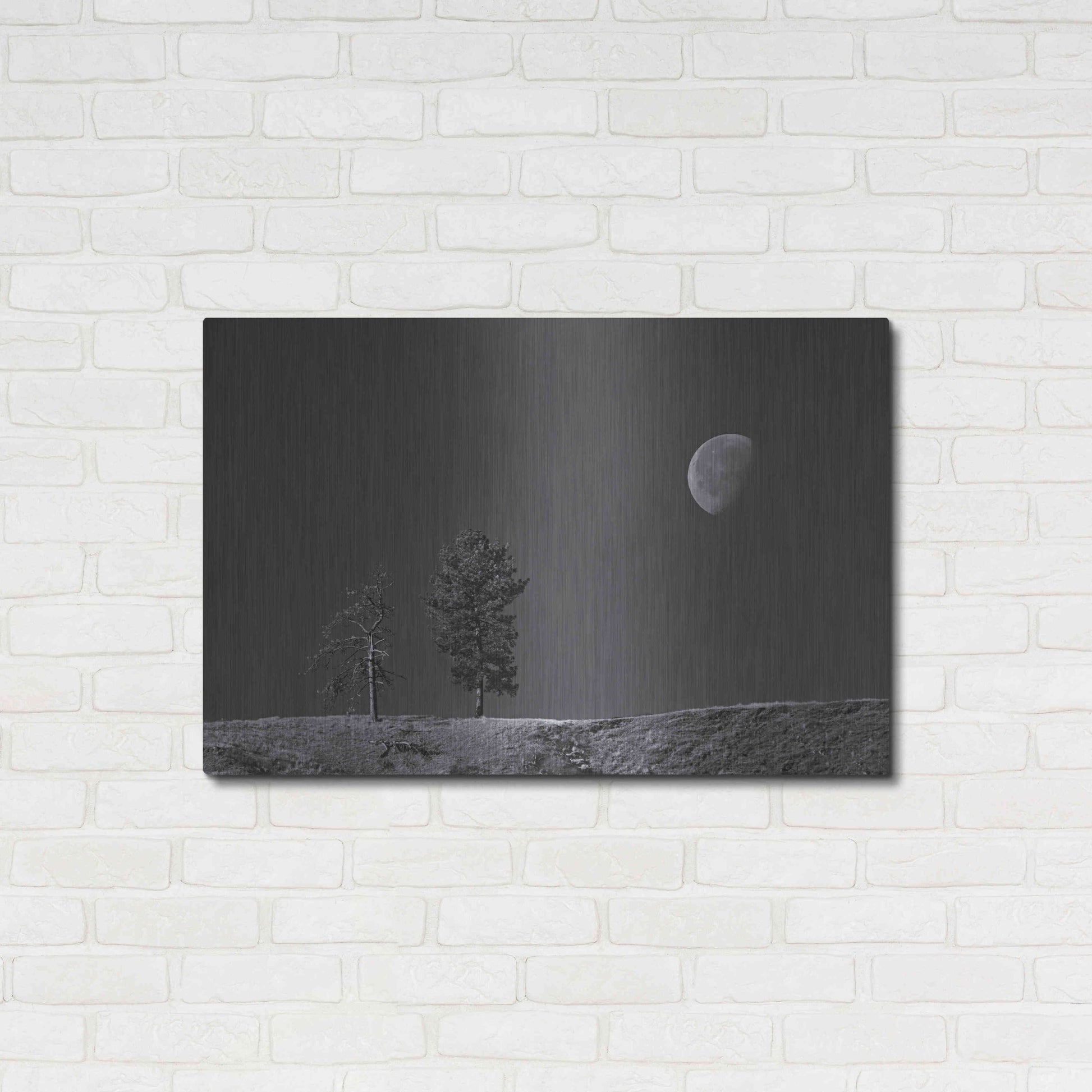 Luxe Metal Art 'Moon Trees Hill' by Thomas Haney, Metal Wall Art,36x24
