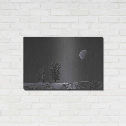 Luxe Metal Art 'Moon Trees Hill' by Thomas Haney, Metal Wall Art,36x24