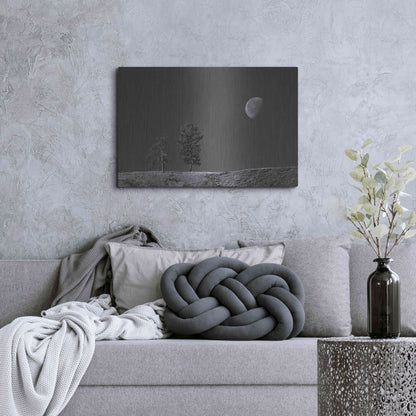 Luxe Metal Art 'Moon Trees Hill' by Thomas Haney, Metal Wall Art,36x24