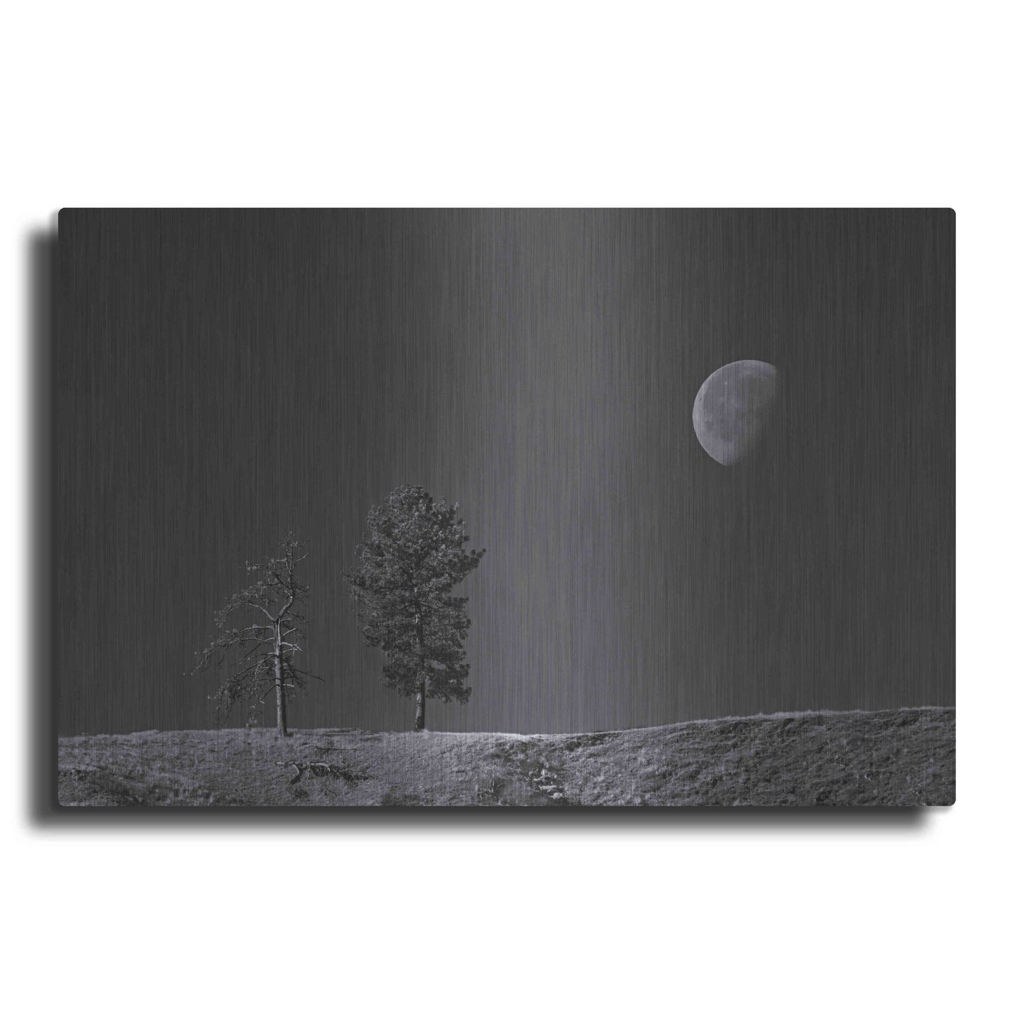 Luxe Metal Art 'Moon Trees Hill' by Thomas Haney, Metal Wall Art