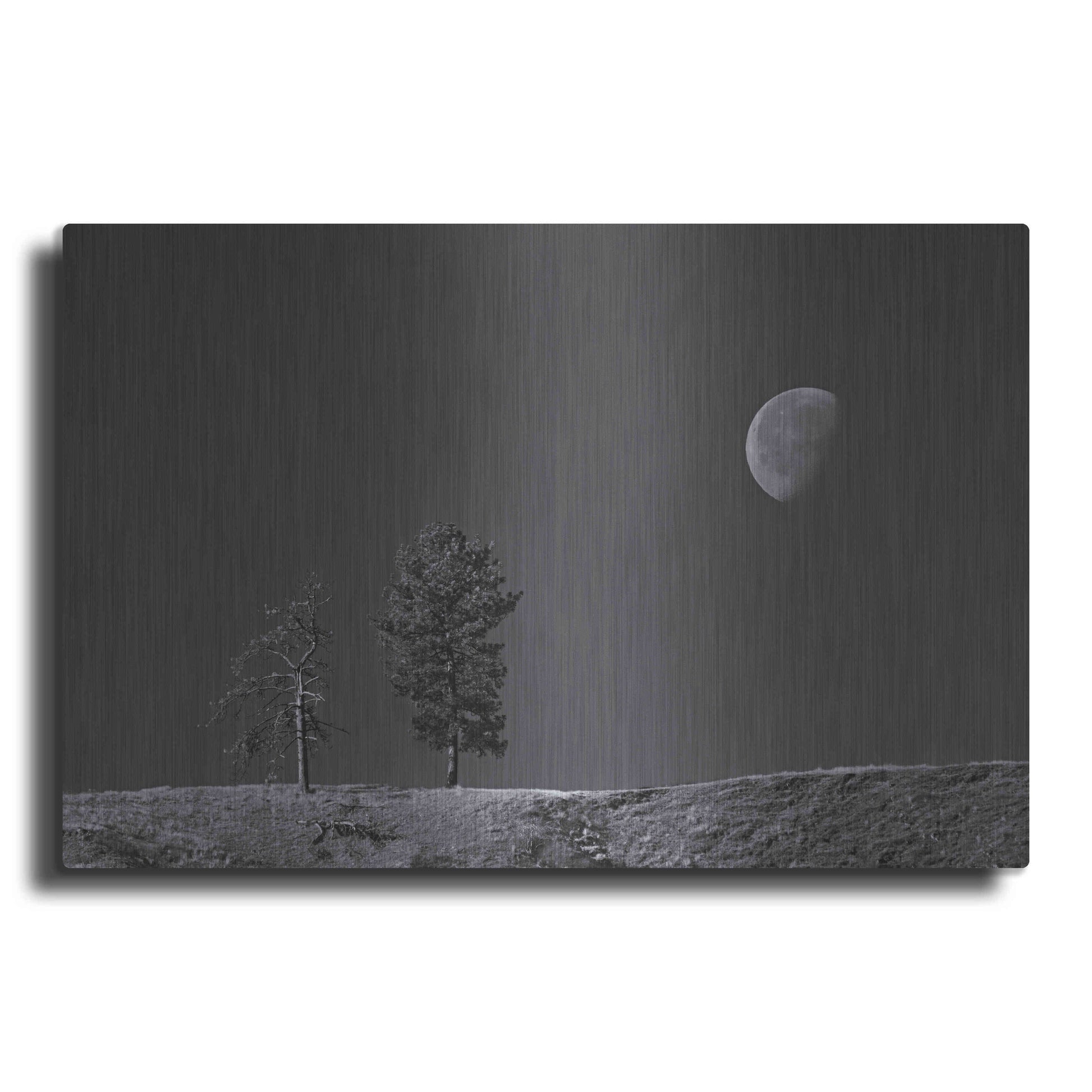 Luxe Metal Art 'Moon Trees Hill' by Thomas Haney, Metal Wall Art