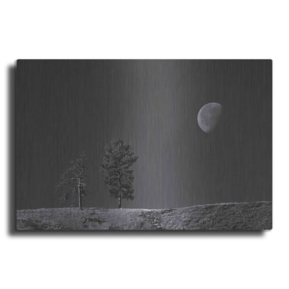 Luxe Metal Art 'Moon Trees Hill' by Thomas Haney, Metal Wall Art