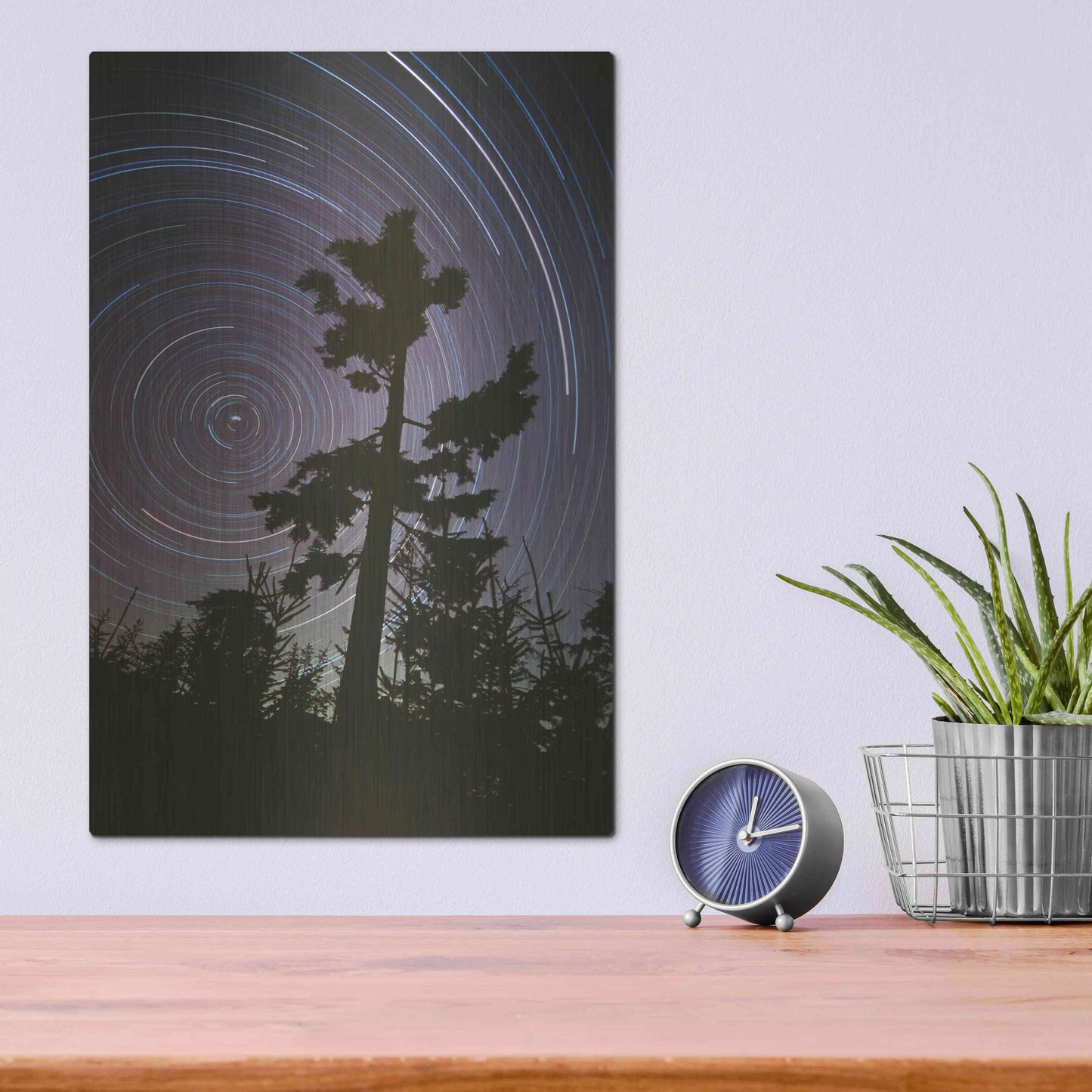 Luxe Metal Art 'Polaris Pine' by Thomas Haney, Metal Wall Art,12x16