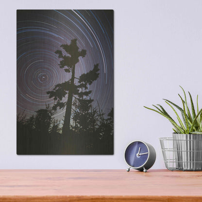 Luxe Metal Art 'Polaris Pine' by Thomas Haney, Metal Wall Art,12x16