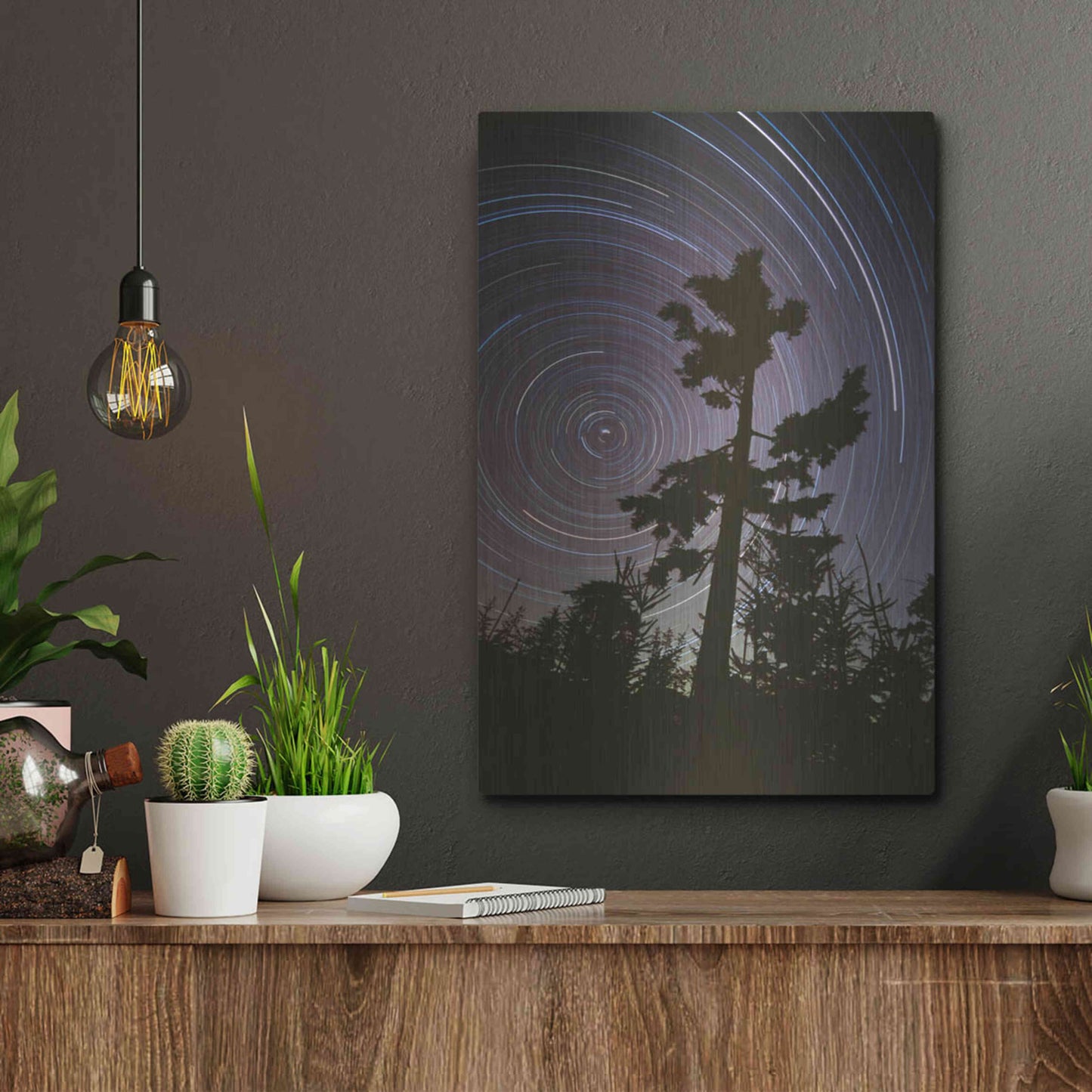 Luxe Metal Art 'Polaris Pine' by Thomas Haney, Metal Wall Art,12x16