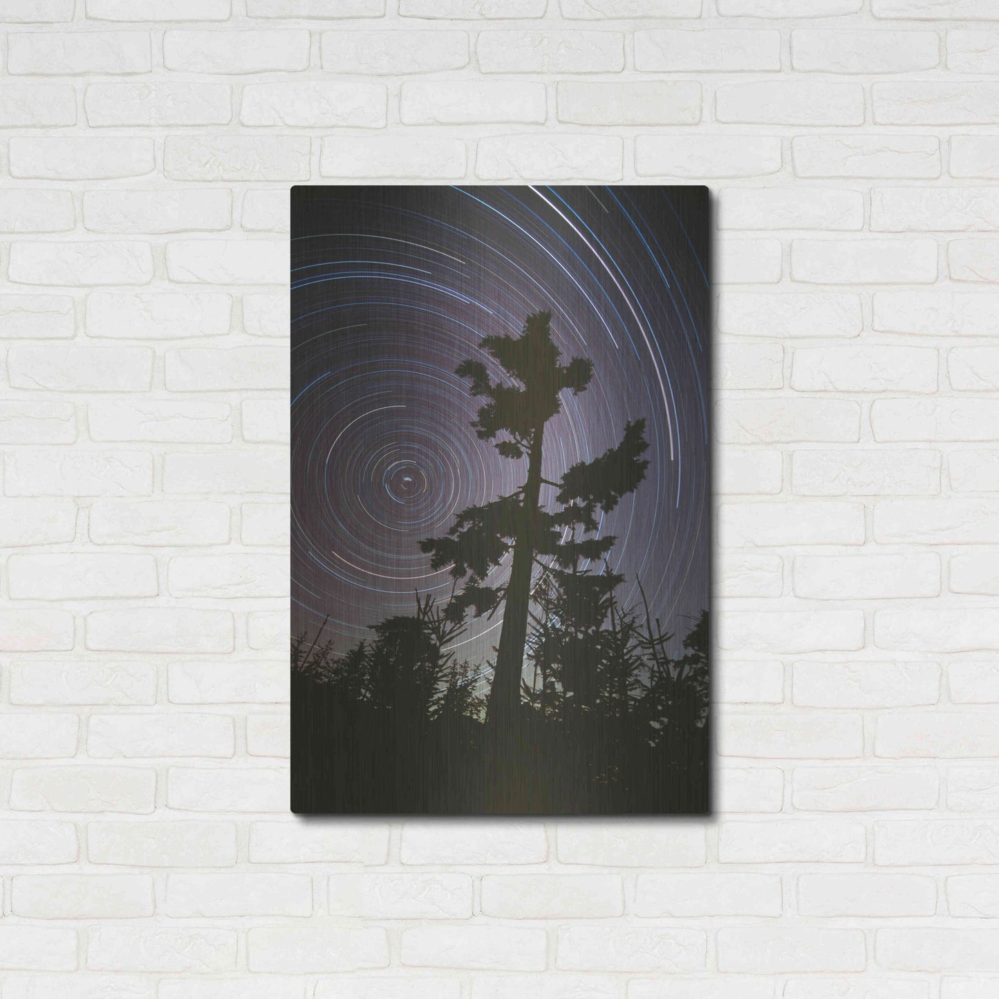 Luxe Metal Art 'Polaris Pine' by Thomas Haney, Metal Wall Art,24x36