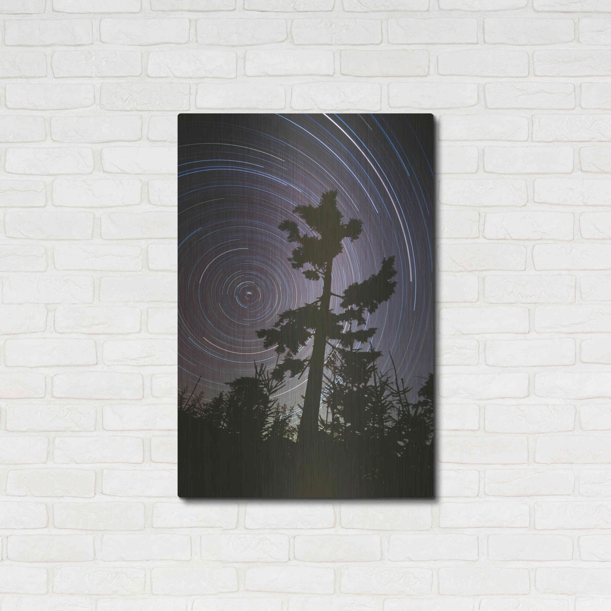 Luxe Metal Art 'Polaris Pine' by Thomas Haney, Metal Wall Art,24x36