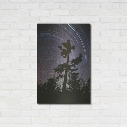 Luxe Metal Art 'Polaris Pine' by Thomas Haney, Metal Wall Art,24x36