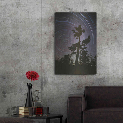 Luxe Metal Art 'Polaris Pine' by Thomas Haney, Metal Wall Art,24x36