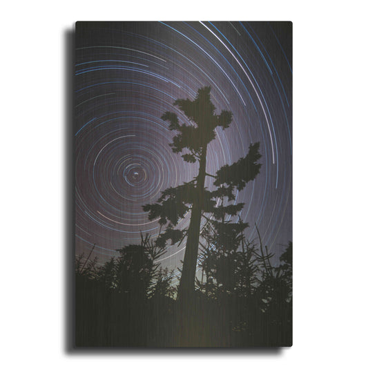 Luxe Metal Art 'Polaris Pine' by Thomas Haney, Metal Wall Art