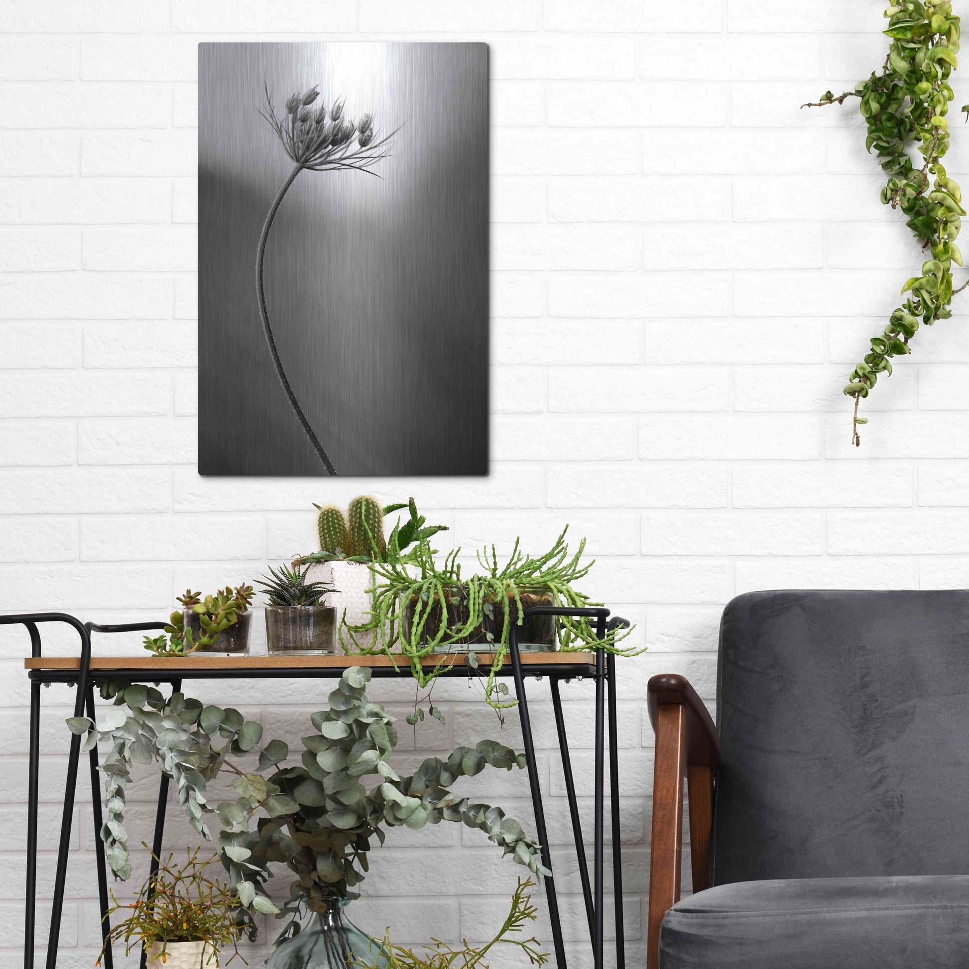 Luxe Metal Art 'Queen Anne's B&W' by Thomas Haney, Metal Wall Art,12x16