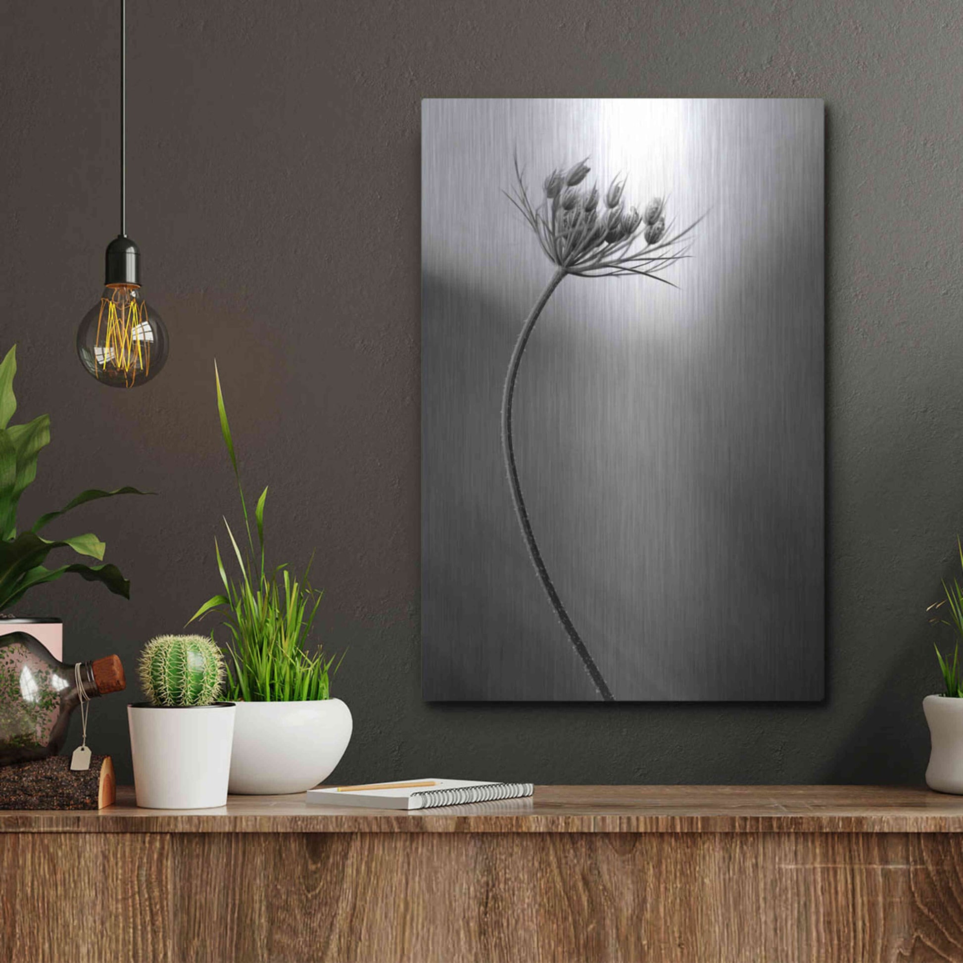 Luxe Metal Art 'Queen Anne's B&W' by Thomas Haney, Metal Wall Art,12x16