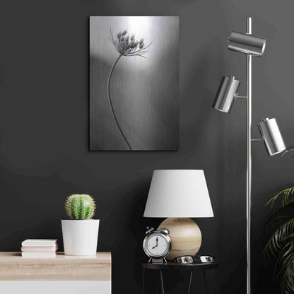 Luxe Metal Art 'Queen Anne's B&W' by Thomas Haney, Metal Wall Art,16x24